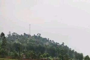 Butembo : un général autoproclamé d’un groupe Wazalendo tué après deux jours de violents affrontements